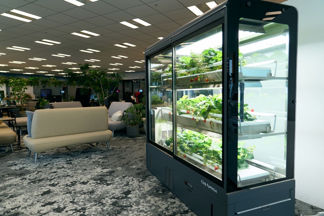 現在、CO-EN LABOに設置しているCity Farming