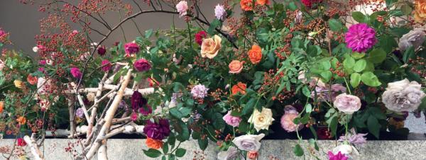 オカムラ×草月「モダン空間に生命と色を ― 西山光沙とその仲間たち」開催