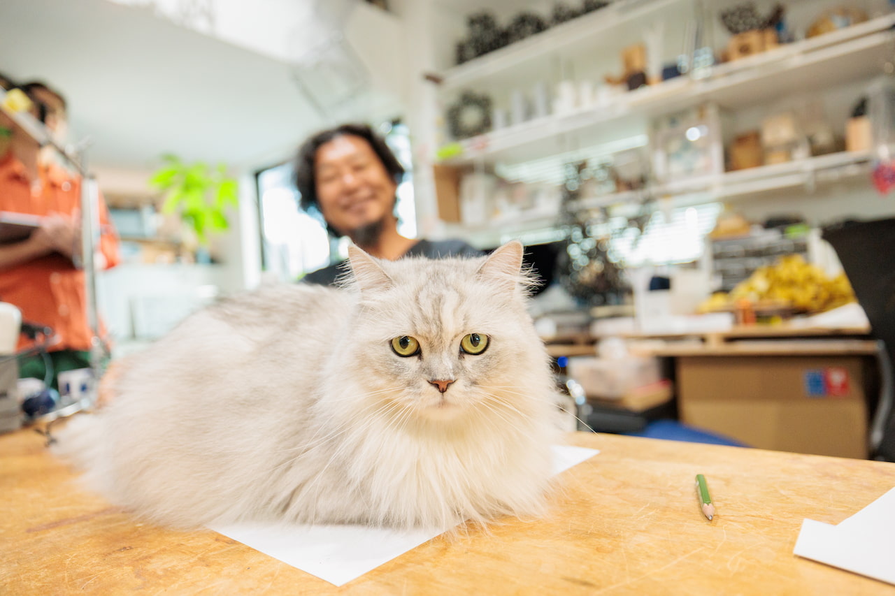 野老さんの仕事場で行われたインタビューには、愛猫も同席