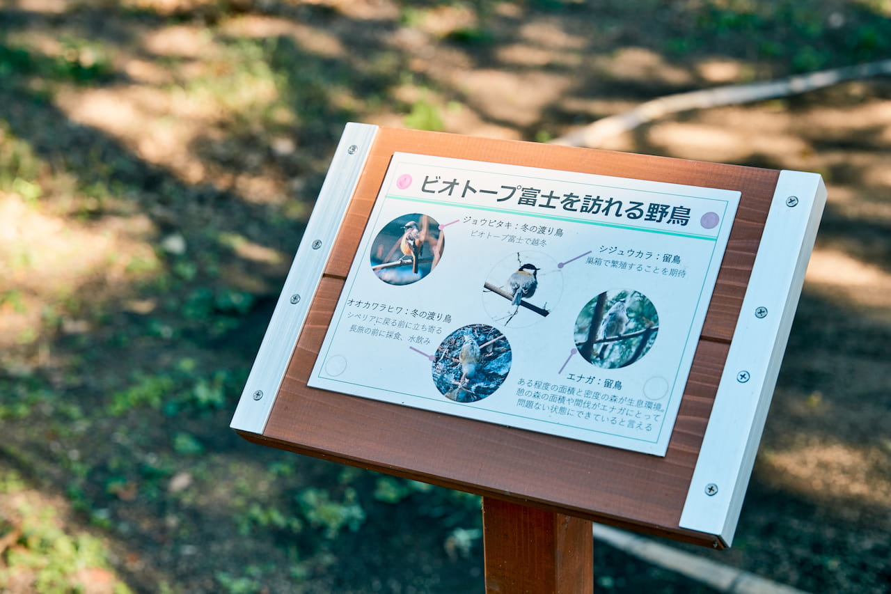 ビオトープには季節を通してさまざまな野鳥がやってくる